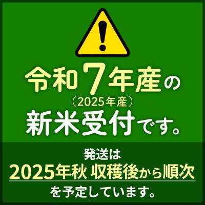 ふるさと納税 北秋田市 R7年産 新米受付《定期便5ヶ月》秋田県産あきたこまち40kg【無洗米】|msrf-31105 |  | 02
