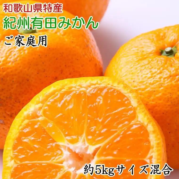 和歌山有田みかん約5kg ご家庭用（サイズ混合）★2026年11月中旬頃より順次発送［TM102w］
