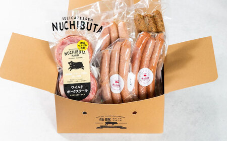 『NUCHIBUTA Bセット』 豚肉 ポークステーキ ソーセージ 詰め合わせ お取り寄せ 国産 ギフト 冷凍 沖縄市 / DELICATESSEN NUCHIBUTA[BCAR004]