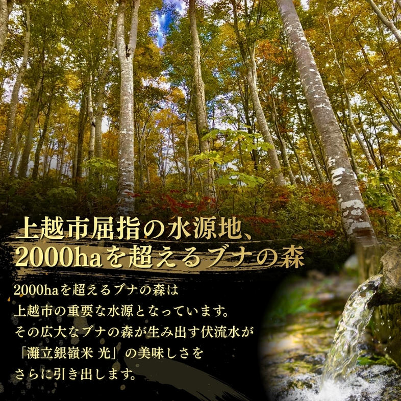 令和8年産 新潟県上越市名立区産 コシヒカリ 棚田米 「灘立