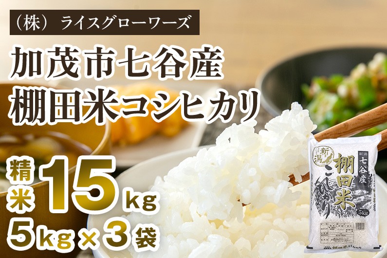 
                  【令和8年産新米先行予約】新潟県加茂市 七谷産 棚田米コシヒカリ 精米15kg（5kg×3）《10月上旬～順次出荷》 白米 （株）ライスグローワーズ
                