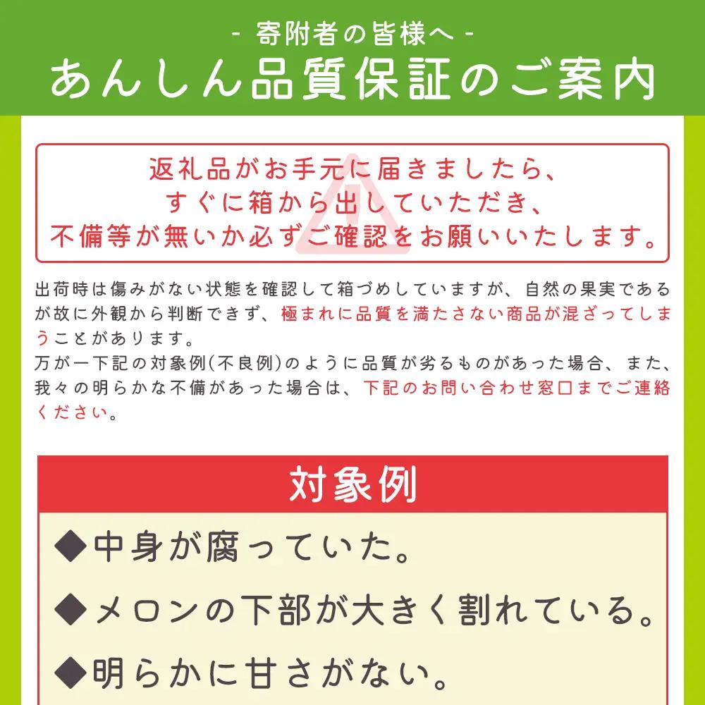 【発送開始】マスクメロン(家庭用) 2玉入 青肉品種 高級メロン！ ／ マスクメロン 果物 フルーツ ギフト 農家直送 tn-0025
