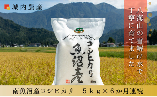 
令和５年産【お米定期便/全６回】南魚沼産コシヒカリ　白米５ｋｇ＜５割減農薬栽培米＞　城内農産
