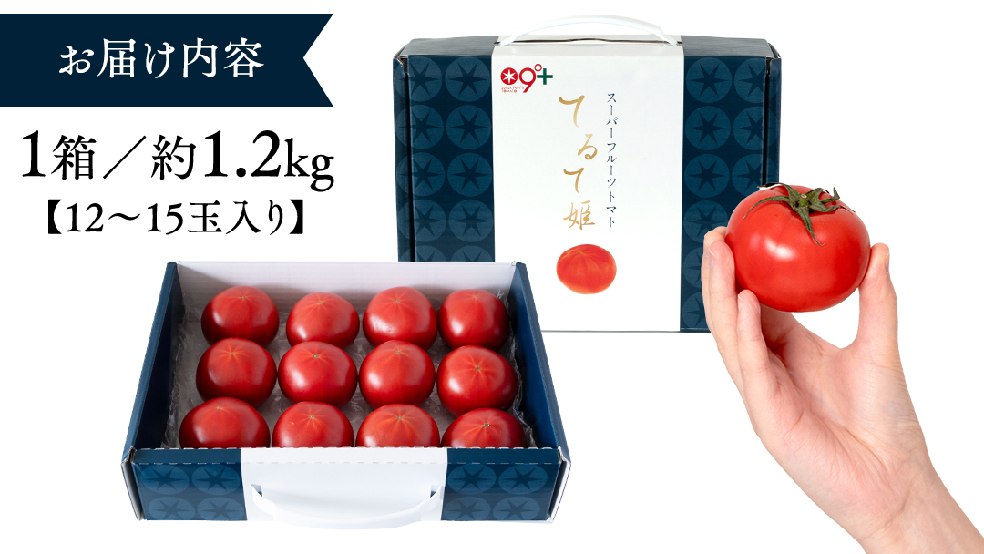 《 2027年 収穫分 》4～5月配送 スーパーフルーツトマト てるて姫 中箱 約1.2kg × 1箱 【12?15玉/1箱】 糖度9度以上 定期便 先行予約 フルーツトマト ブランドトマト 野菜 ギフト 贈答 青空レストラン アド街ック天国 グッドモーニング 黄金のワンスプーン 昼めし旅 [BC033sa]