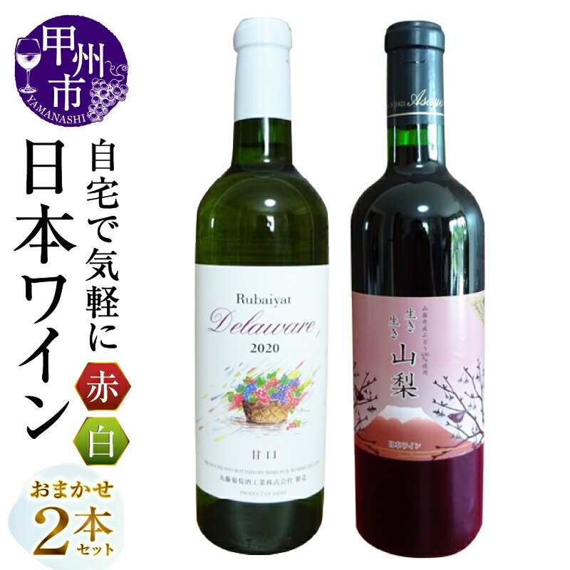 【ふるさと納税】 ワイン 赤 白 2本 セット 赤ワイン 白ワイン 日本ワイン 甲州ワイン テーブルワイン 自宅で気軽に 大国 勝沼 甲州市ワイナリー 逸品 母の日 父の日 記念日 ギフト (MG) 【B-690】