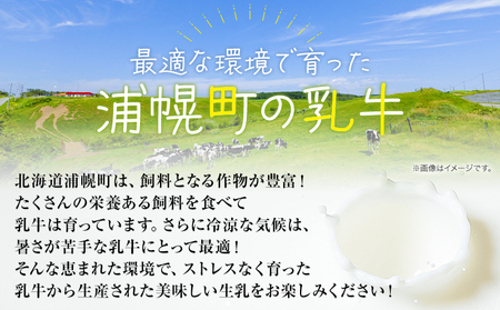 【定期便】森永北海道3.6牛乳（1000ml×12本×3回）常温長期保存