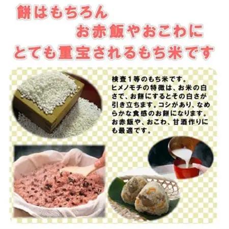 もち米10kg　千葉県産ヒメノモチ白米(5kg×2袋) お餅やお赤飯に【1012796】