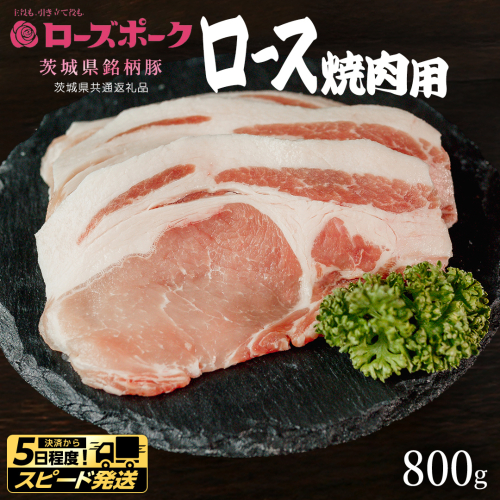 【 スピード 発送 】【 ローズポーク 】 豚ロース焼肉用 800g (茨城県共通返礼品) 肉 お肉 豚肉 国産豚 国産 銘柄豚 ブランド豚 豚ロース 焼肉 BBQ 冷凍肉 [AI21-NT]