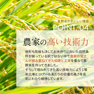 【令和7年度産】長野県産 コシヒカリ 5kg（精米） | 米 こめ コメ お米 白米 はくまい 精米 無洗米 コシヒカリ 長野県 松川村 信州