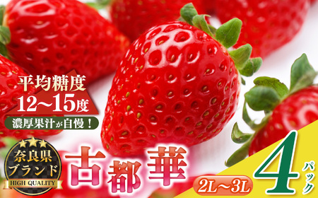 平群 の 古都華 2L ～ 3L サイズ 2ケース （ 4パック ） | 先行予約 フルーツ 果物 くだもの ブランド いちご 苺 古都華 ことか 甘い 大人気 満足 希少 希少品種 ストロベリー 美味しい 品種 特徴 糖度 ルビー色 2月 3月 4月 発送 旬 送料無料 濃厚 香り 果汁 味わい深い お取り寄せ 産地直送 へぐり果実堂 名産地 奈良県 平群 町