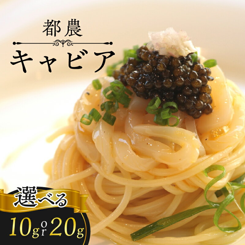 【ふるさと納税】【2週間以内発送】《選べる内容量》 都農 キャビア 10g 20g 魚卵 魚介 食品 国産 水産 加工品 世界三大珍味 高級 卵 希少 おすすめ 人気 ギフト 贈り物 贈答 プレゼント お祝い 記念日 パーティー ご褒美 イベント おつまみ 贅沢 海産物 宮崎県 送料無料