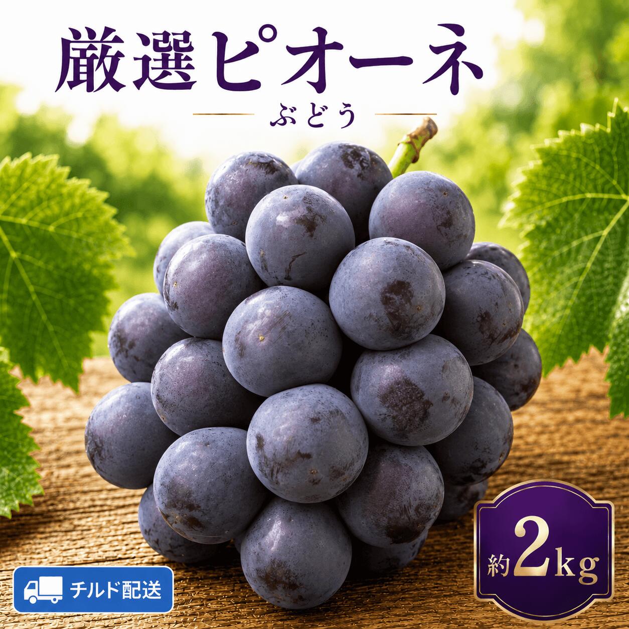 【ふるさと納税】厳選ピオーネ 約2kg (チルド配送)｜高原の寒暖差が育てた濃密な甘み《9月上旬-10月中旬出荷予定》広島県 神石高原町 果物 フルーツ ぶどう 送料無料