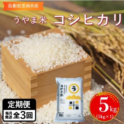 ふるさと納税 雲南市 【毎月定期便】神話の里/吉田町「うやま米」コシヒカリ 5kg(5kg×1)全3回