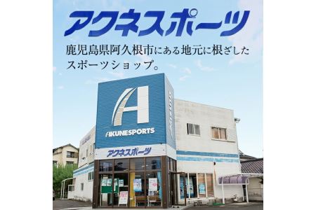 ＼メジャーリーガーも愛用するWilson社グローブ！／＜軟式・外野手用DUAL＞日本製野球グローブ Wilson軟式オーダーグローブ(1個) 阿久根市 特産品 デュアル スポーツ グラブ 袋付 箱入り
