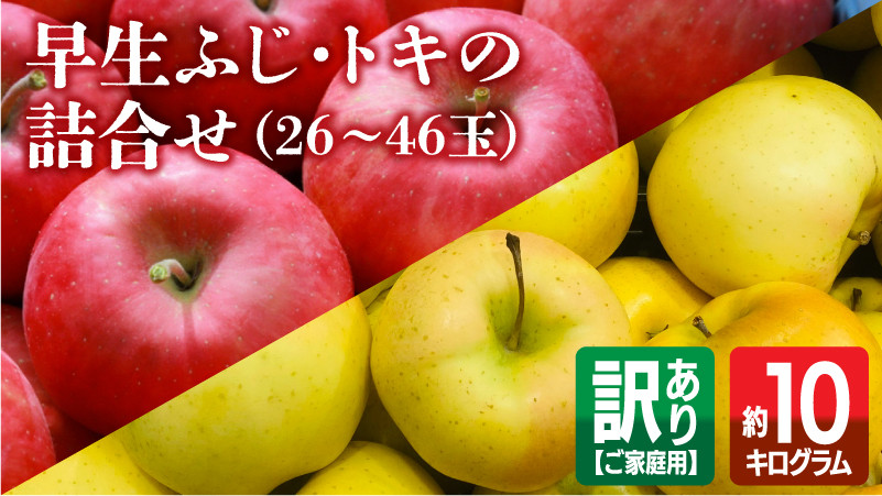 
10月 田子の早生ふじ・トキの詰合せ 約10kg ご家庭用【訳あり】向井邦雄さん生産直送
