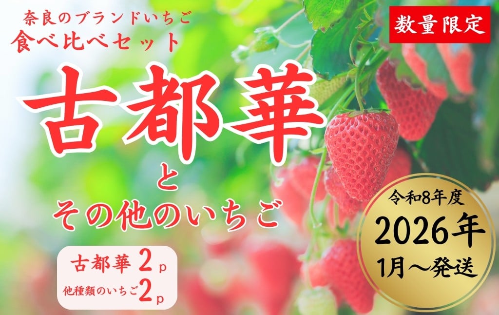 
            【数量限定】2026年予約販売開始 奈良ブランドいちご２種 食べ比べセット×２セット（古都華２パック＋別品種２パックの計４パック） (他１種は、かおりの・珠姫・奈乃華・ならあかり・あすかルビーのいずれか) イチゴ いちご 苺 めいとく農園 奈良県 奈良市 奈良 14-034
          