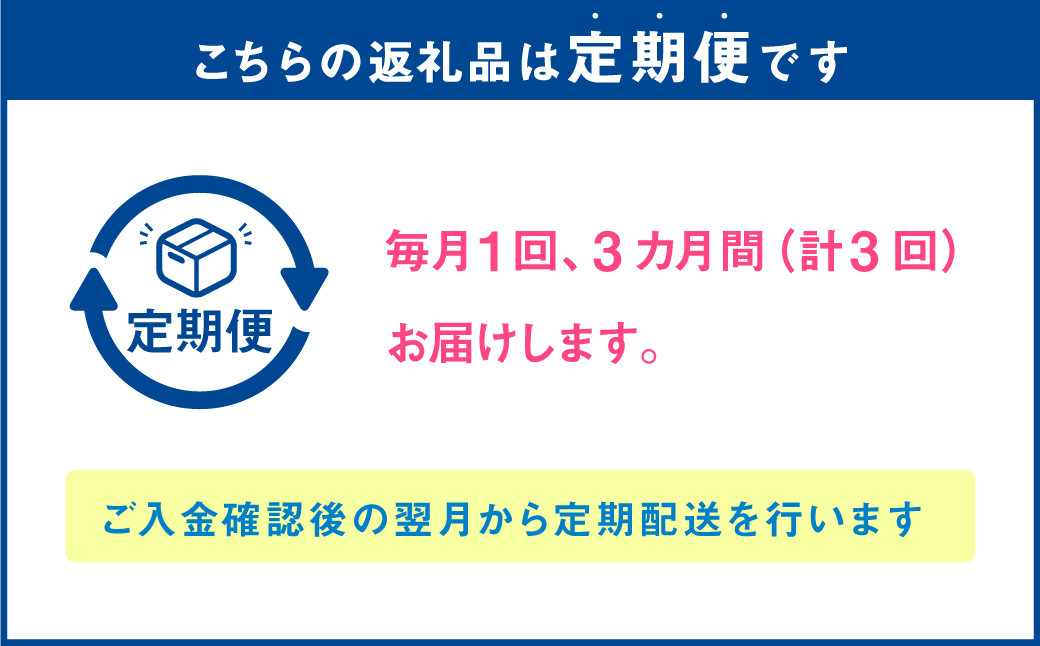 【3か月連続定期便】 熊本県産 大粒 冷凍 ブルーベリー 2kg（500g×4パック）×3回 合計6kg