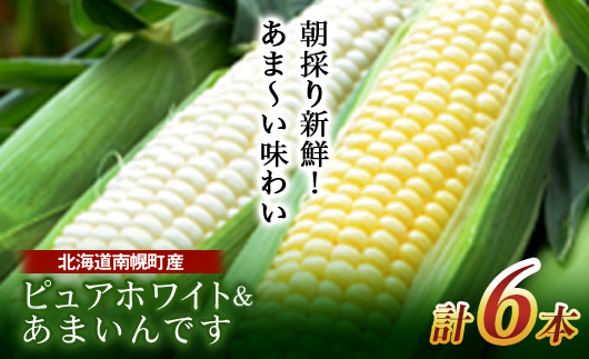 令和8年発送 北海道産 とうもろこし 食べ比べ ピュアホワイト3本＆あまいんです3本 朝採れ 一番果 生食 産地直送 数量限定 期間限定