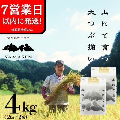 ふるさと納税 下呂市 即納【令和7年産米】すがたらいす 山仙 (いのちの壱) 2kg×2袋(4kg)【51-28g】