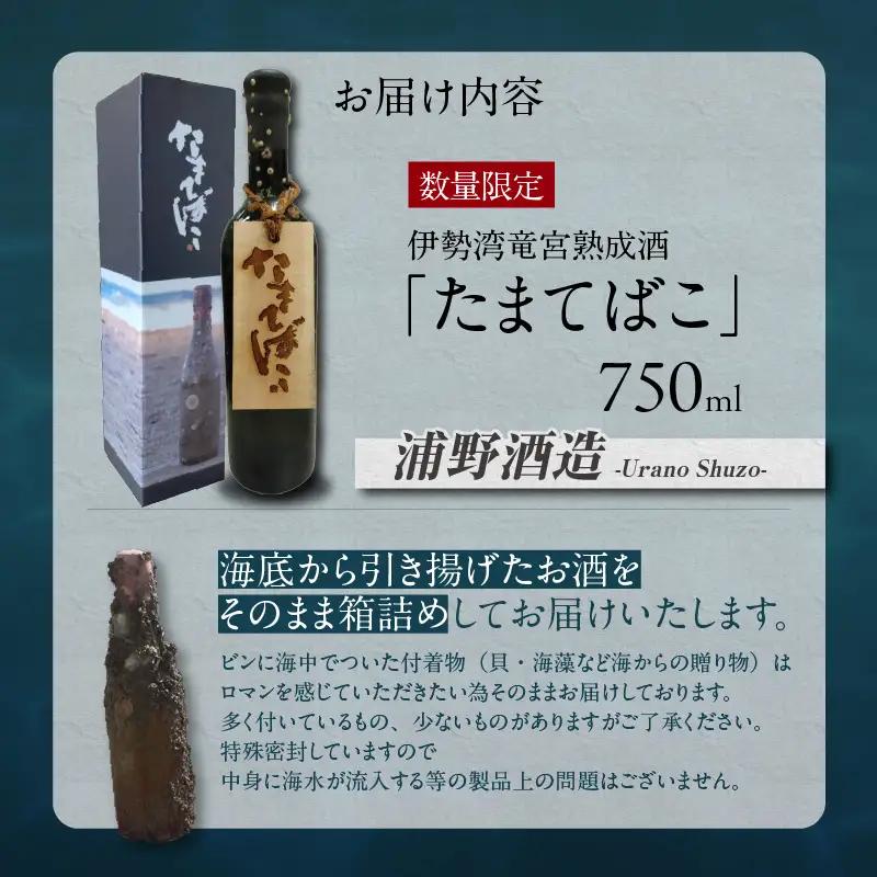 【テレビで紹介！】伊勢湾竜宮熟成酒「たまてばこ」【浦野酒造】│日本酒 酒 常滑市