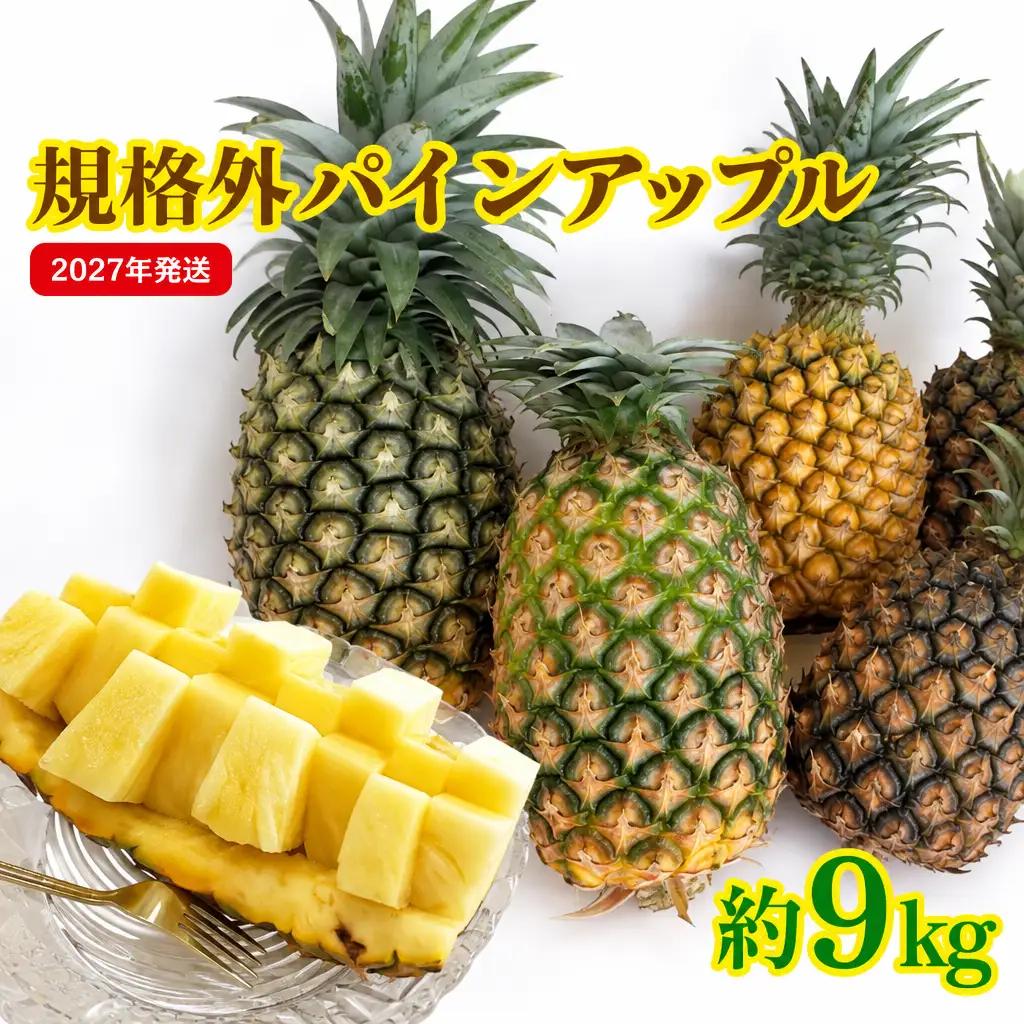 パイナップル 規格外 9㎏ サンライズひがし