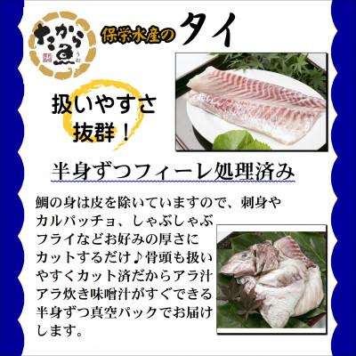 ふるさと納税 松浦市 鷹島のおいしかタイ(1.2kg) |  | 02