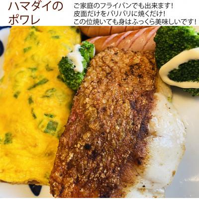 ふるさと納税 奄美市 高級魚「ハマダイ(オナガ)」切り身500g(甘塩) 小分け真空パック |  | 02