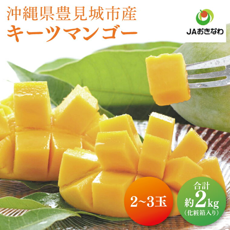 【ふるさと納税】【選べる内容量】 ≪ キーツマンゴー (化粧箱) ≫ 数量限定 ※2025年8月より順次発送します。 沖縄県産 豊見城市 大容量 マンゴー キーツ フルーツ JA 果物 くだもの おきなわ 先行予約 ギフト 贈答 贈り物 プレゼント 化粧箱入り 送料無料 (AE014)