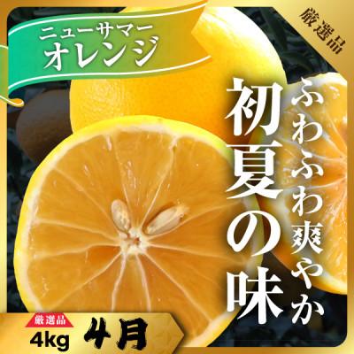 ふるさと納税 八幡浜市 【発送月固定定期便】柑橘【みかん・まどんな・せとか・ニューサマーオレンジ】【H31-46】全4回 |  | 02