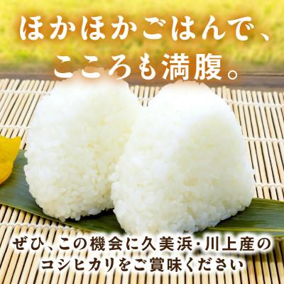 ふるさと納税 京丹後市 2025年産 京都・久美浜産 特別栽培米コシヒカリ 精米 3kg(1.5kg×2袋) 農家直送 お米 |  | 03