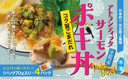 国産 アトランティックサーモン ポキ 丼 70g × 4パック コク旨ごまだれ サーモン 漬け