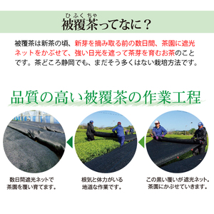 048-22 静岡牧之原市ブランド茶 望 銀印 ペットボトル用ティーパック(3.3g×20包)6袋