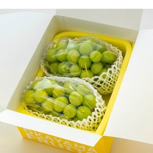 ご家庭用　岡山県産シャインマスカット(クール便)　約1.2kg(2～3房)【配送不可地域：離島】【1614316】