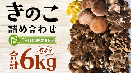 【 3ヶ月連続定期便 】きのこ の 詰め合わせ Lサイズ ( 約2kg ) （茨城県共通返礼品：城里町）