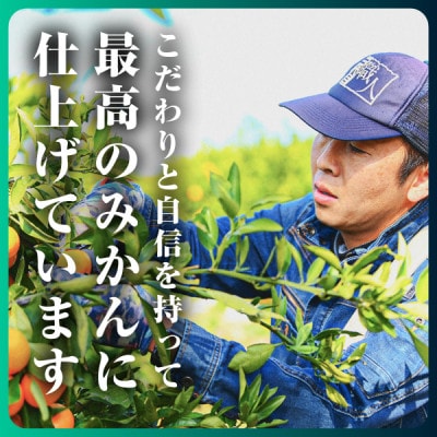 三代目がつくる【頂みかん】3kg×2箱【C31−21】【1503338】