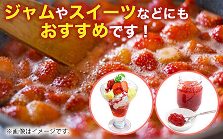 【先行予約】恋みのり 約1kg【くまふる】[ZBG062]