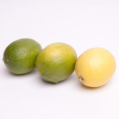 ふるさと納税 広川町 レモン5kg+250g(傷み補償分)【和歌山有田産】【防腐剤・WAX不使用、安心の国産レモン】 |  | 02