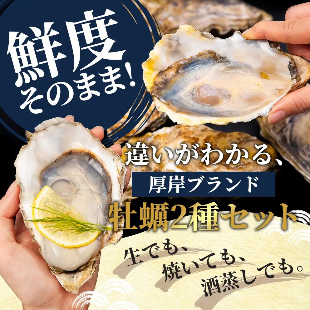 北海道 厚岸産 殻付牡蠣の食べ比べセット！（生食用）カキ 牡蠣