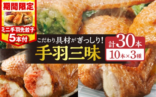 【2026年1月発送】【期間・数量限定】手羽先3種セット(手羽先餃子・手羽先明太・手羽先チーズ)各10本入り・手羽先餃子(小サイズ5本)_M025-001-02-B-jan