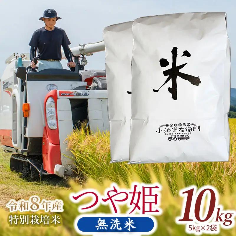 【令和8年産】 特別栽培米 つや姫 無洗米 10kg (5kg×2袋) 山形県庄内産 小池半左衛門