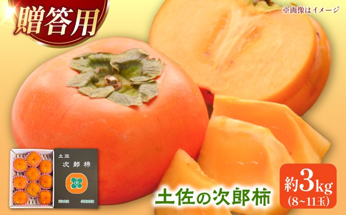 
                  次郎柿 秋の味覚！土佐の袋掛け次郎柿 8～11玉 贈答用【先行予約】〈2026年10月〜発送〉 かき カキ 甘い 美味しい おいしい 果物 フルーツ 常温 ギフト 贈り物【嬉龍】[BQAY001]
                