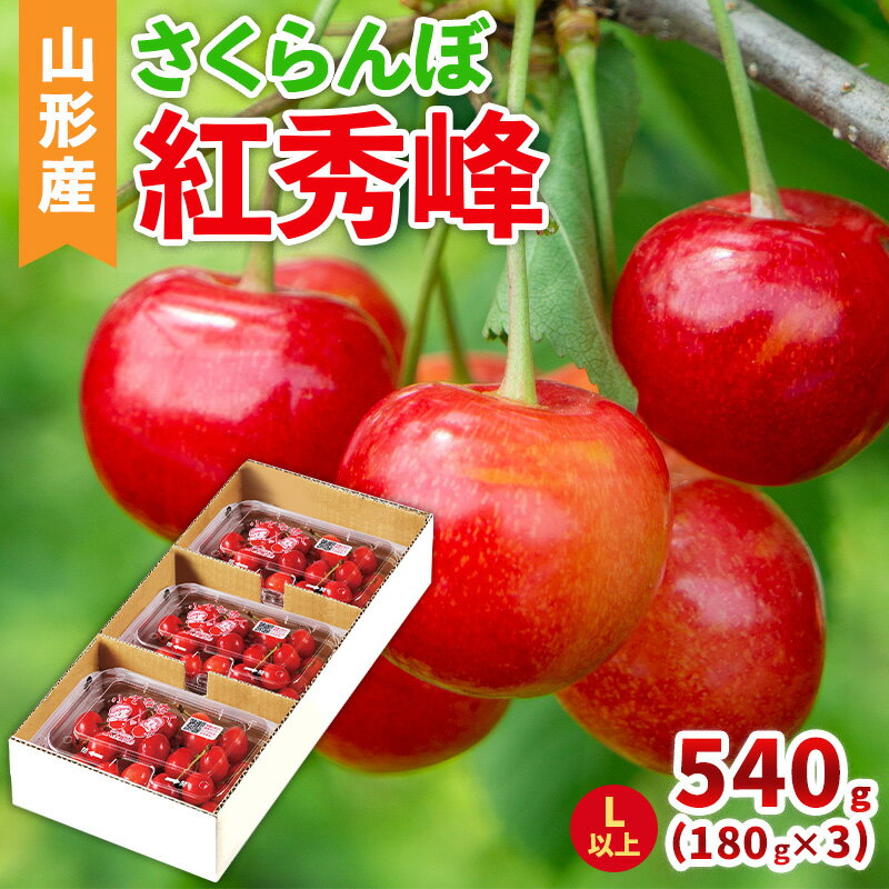 【ふるさと納税】山形産 さくらんぼ(紅秀峰) L以上 540g(180g×3パック) 【令和8年産先行予約】FS25-041