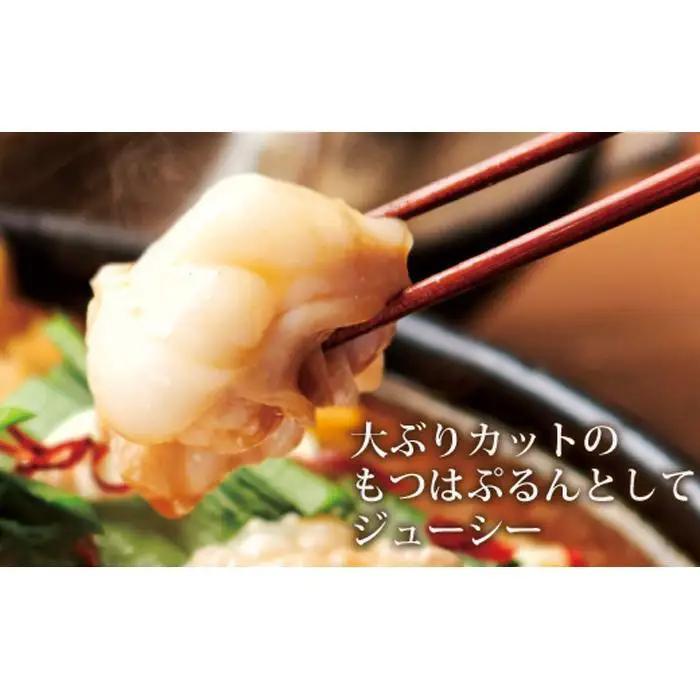 専門店の味をご家庭で♪博多もつ鍋 あごだし醤油味（1-2人前）【博多もつ鍋やまや】