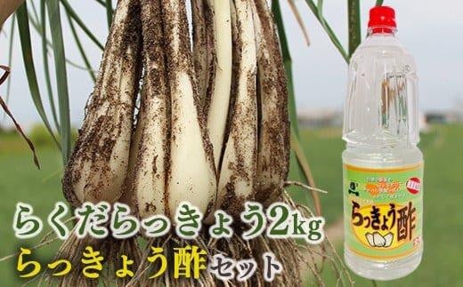 327.【先行予約】朝堀りらくだらっきょうと老舗のらっきょう酢セット　※5月中旬～6月下旬頃に順次発送予定【らっきょ らっきょう 漬物 鳥取県 北栄町 おすすめ 人気 送料無料】