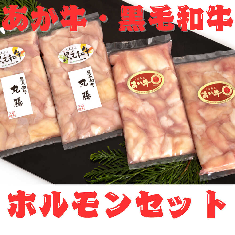 【ふるさと納税】くまもとあか牛 ホルモン セット 約200g×2袋 くまもと 黒毛和牛 ホルモンセット 約200g×2袋 合計約800g【くまもと食彩の力】[AYAN030]