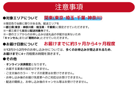 【配送エリア一都三県限定】ブリヂストン ステップクルーズe 電動自転車 通学・通勤向け 26インチ EXダークアッシュ | 埼玉県 上尾市 自転車 電動アシスト アシスト おしゃれ 上品 快適 安全 