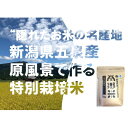 【ふるさと納税】令和6年産　特別栽培米 隠れたお米の名産地!新潟県五泉産コシヒカリ「南郷米」玄米3kg【1528906】