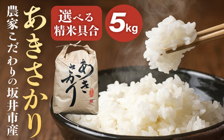 【令和8年産】坂井市産 あきさかり 5kg 【白米】2026年10月上旬以降順次発送 米 コメ お米 [A-10215_01]