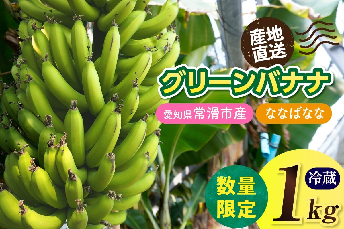 
                  グリーンバナナ（ななばなな）1kg | 【思いやり型返礼品】バナナ ばなな フルーツ 果物 グリーンバナナ 緑バナナ 追熟 南国 産地直送 常滑市産 愛知県産 国内産 健康 就労支援 農業 アスナロファーム 愛知県 常滑市
                