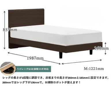 フランスベッド ファディア FAD-F1 LG（脚付タイプ） 【 マットレスつき 】 Mセミダブル R-313
